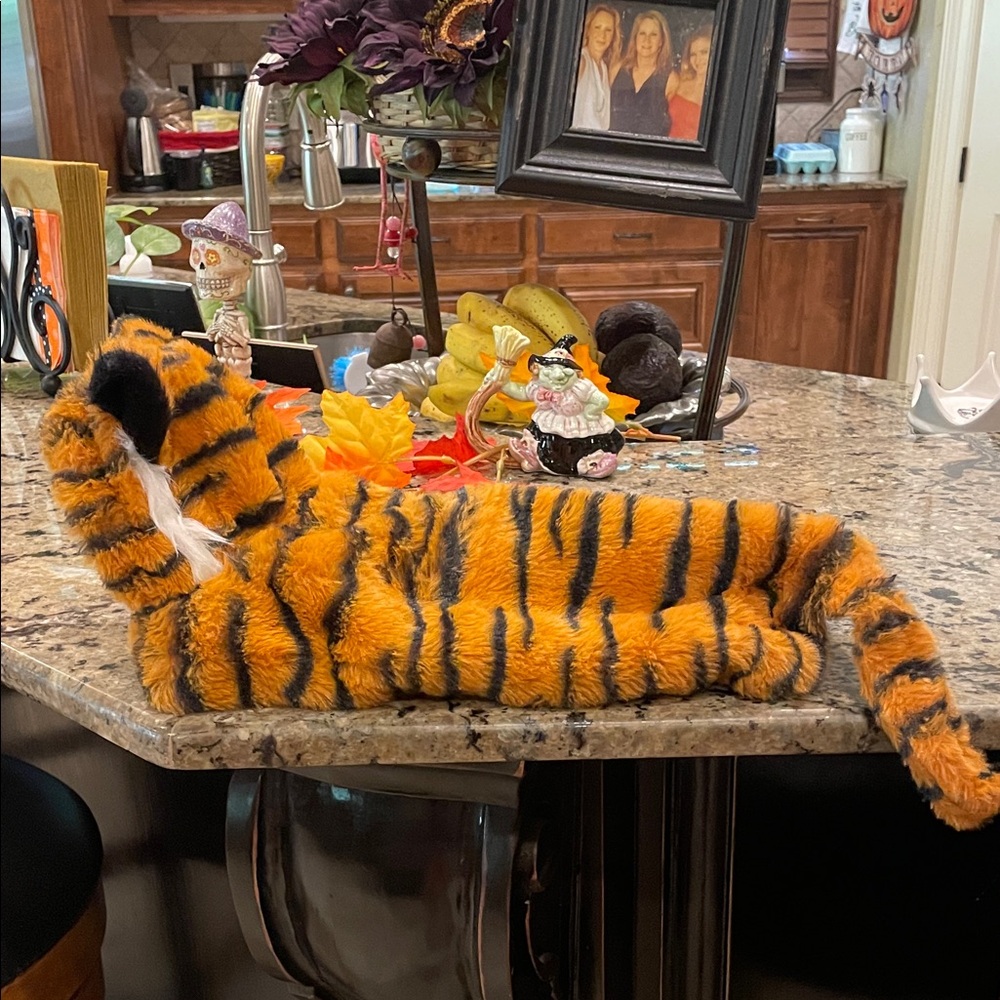Tiger Striped Dog Costume